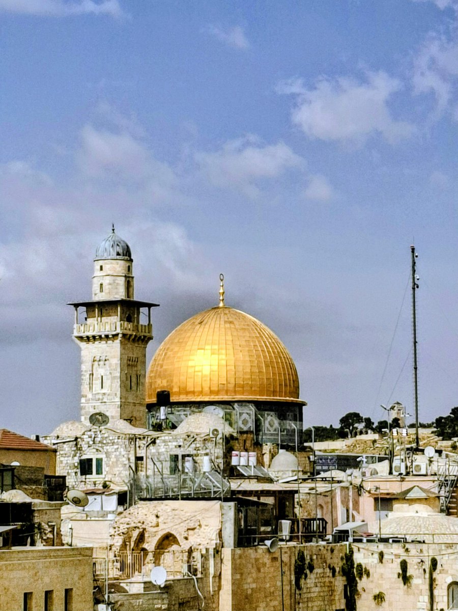 Mélanie Lacide ✡︎ מזל tweet media