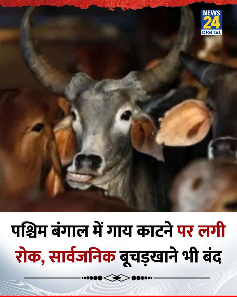News24 tweet media
