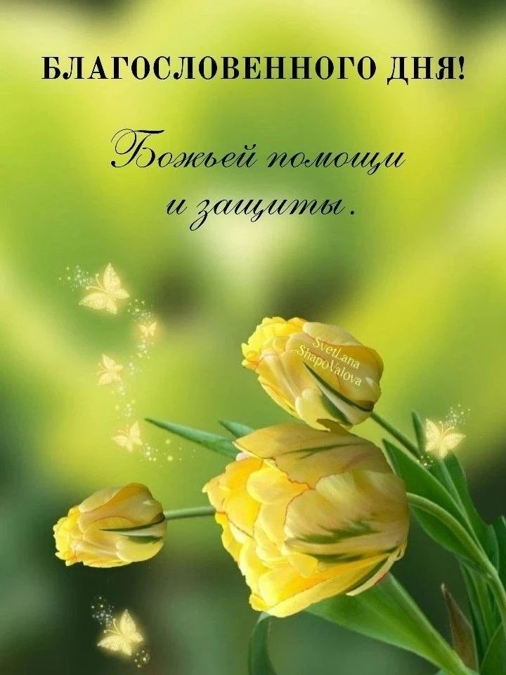 Tamara Pavlova tweet media
