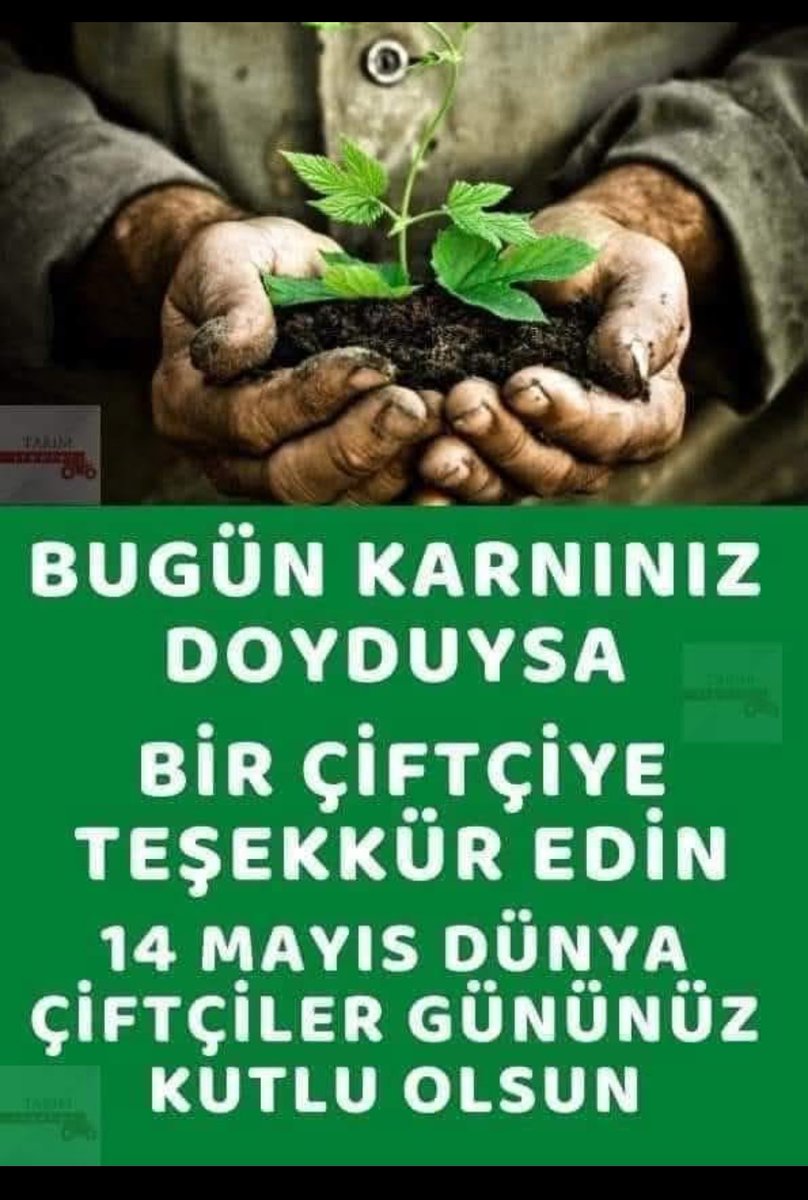 Recep Somuncu tweet media