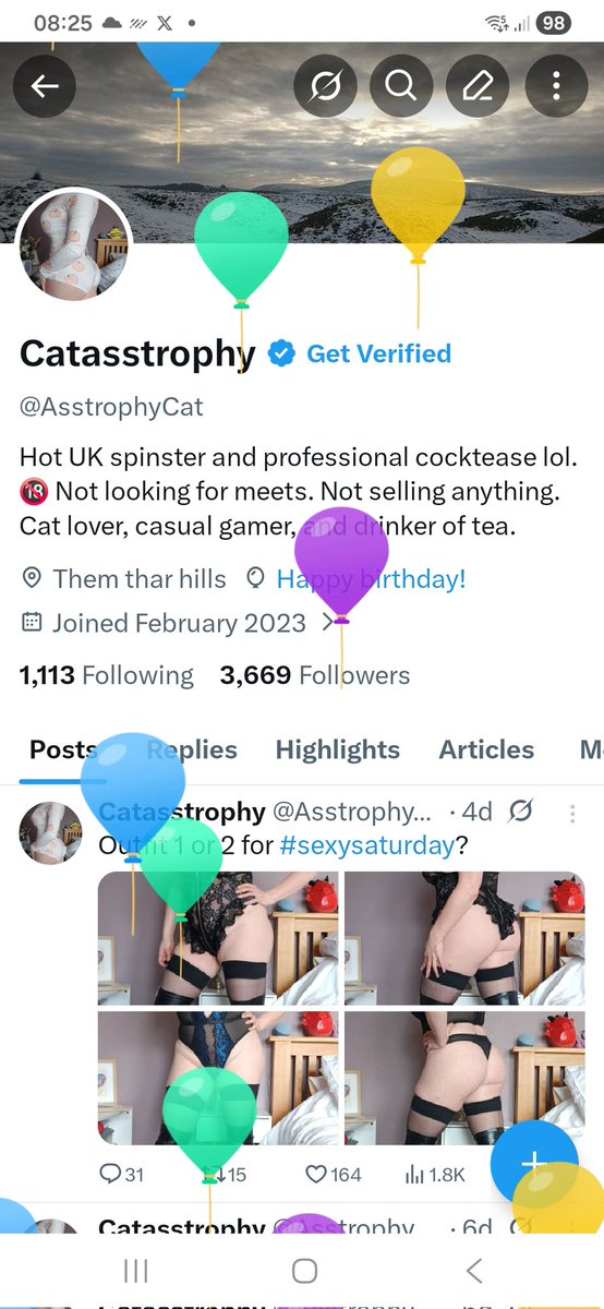 Catasstrophy tweet media