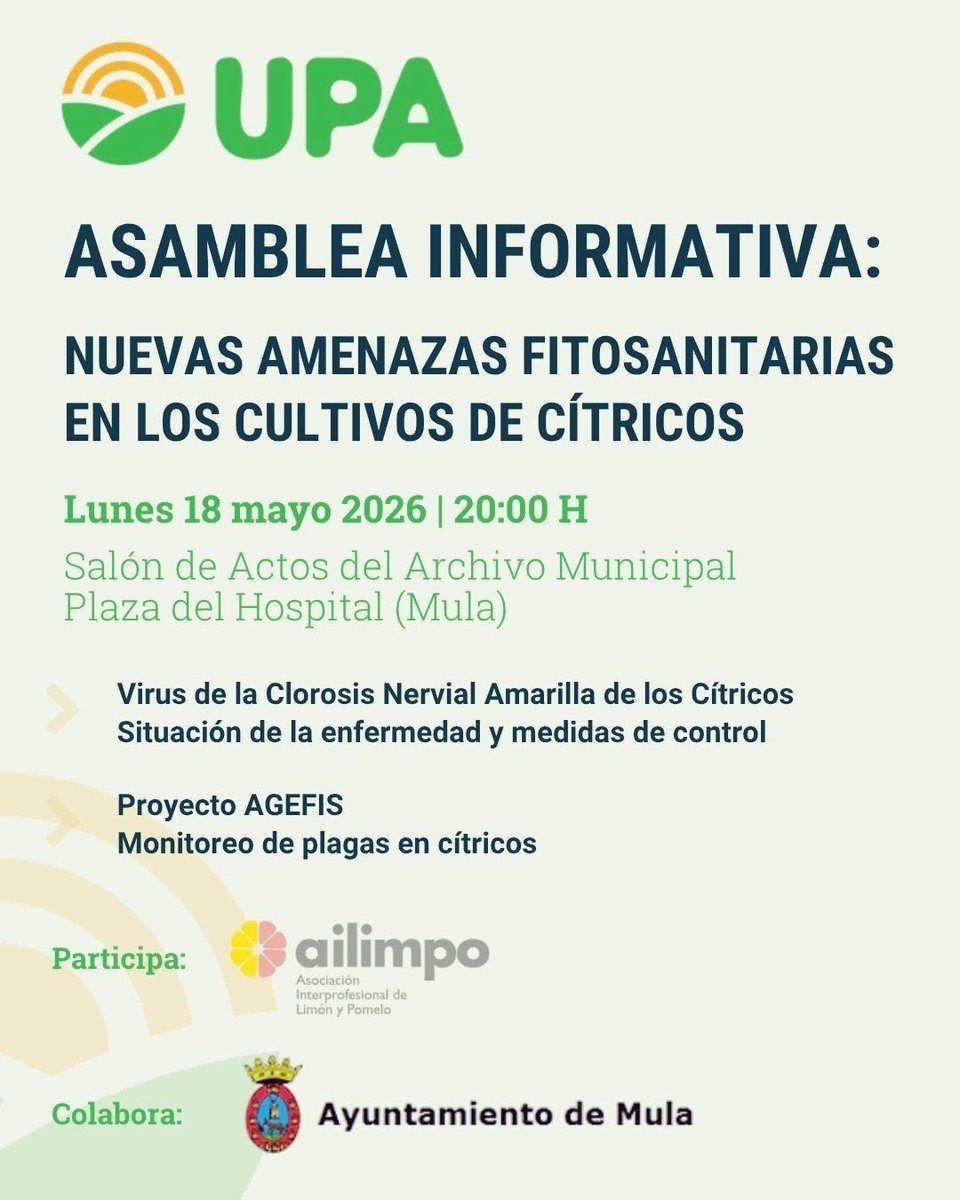 UPA_Murcia's tweet photo. Analizamos las nuevas amenazas fitosanitarias que afectan a los #cítricos. 
UPA MURCIA organiza una asamblea informativa, destinada a los cultivos de cítricos, con especial interés por la irrupción del Virus de la Clorosis Nervial Amarilla.
🗓️ 18 de mayo de 2026 20:00 h.
📍 Mula https://t.co/wC7QtI4N6W
