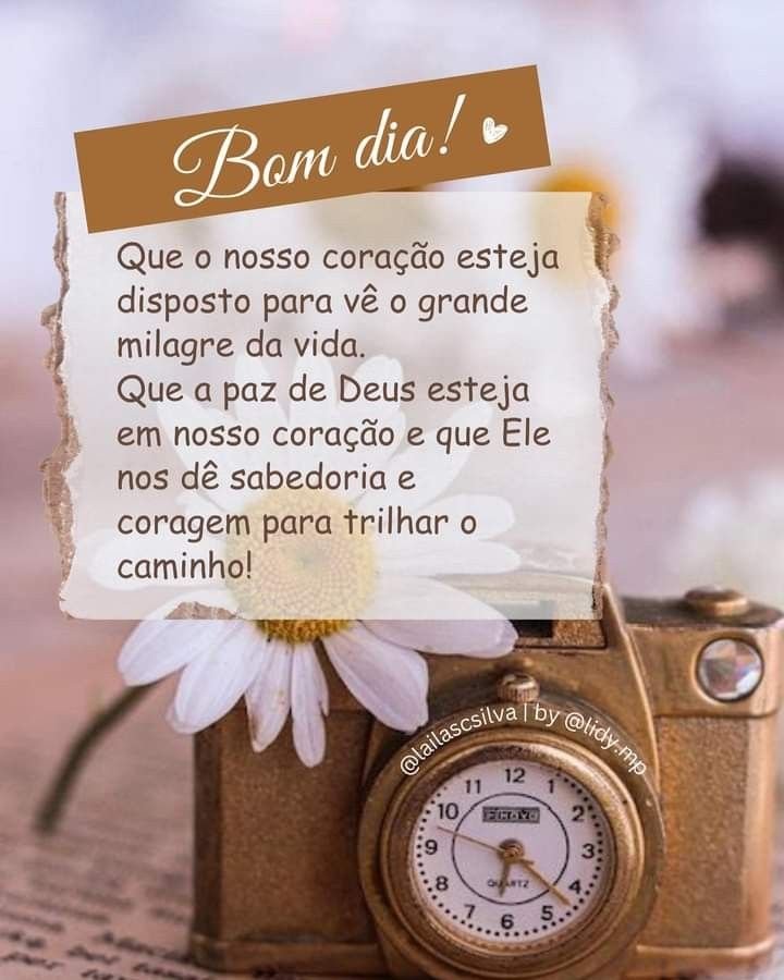 @cat ap neves⚘️ tweet media