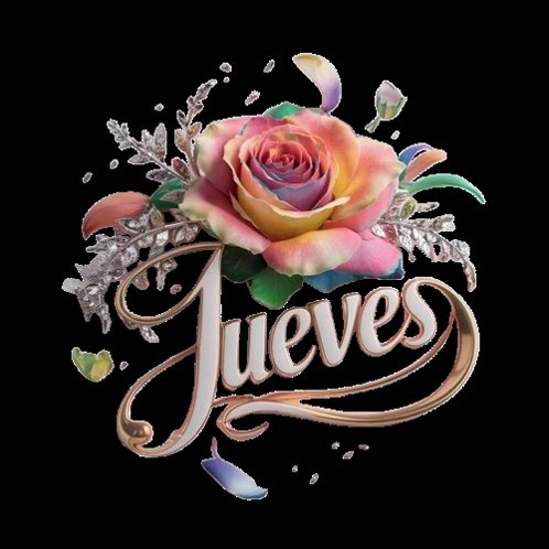 SilviaT 🇦🇷♥️🙂💪🇦🇷🐱🇺🇦💛 tweet media
