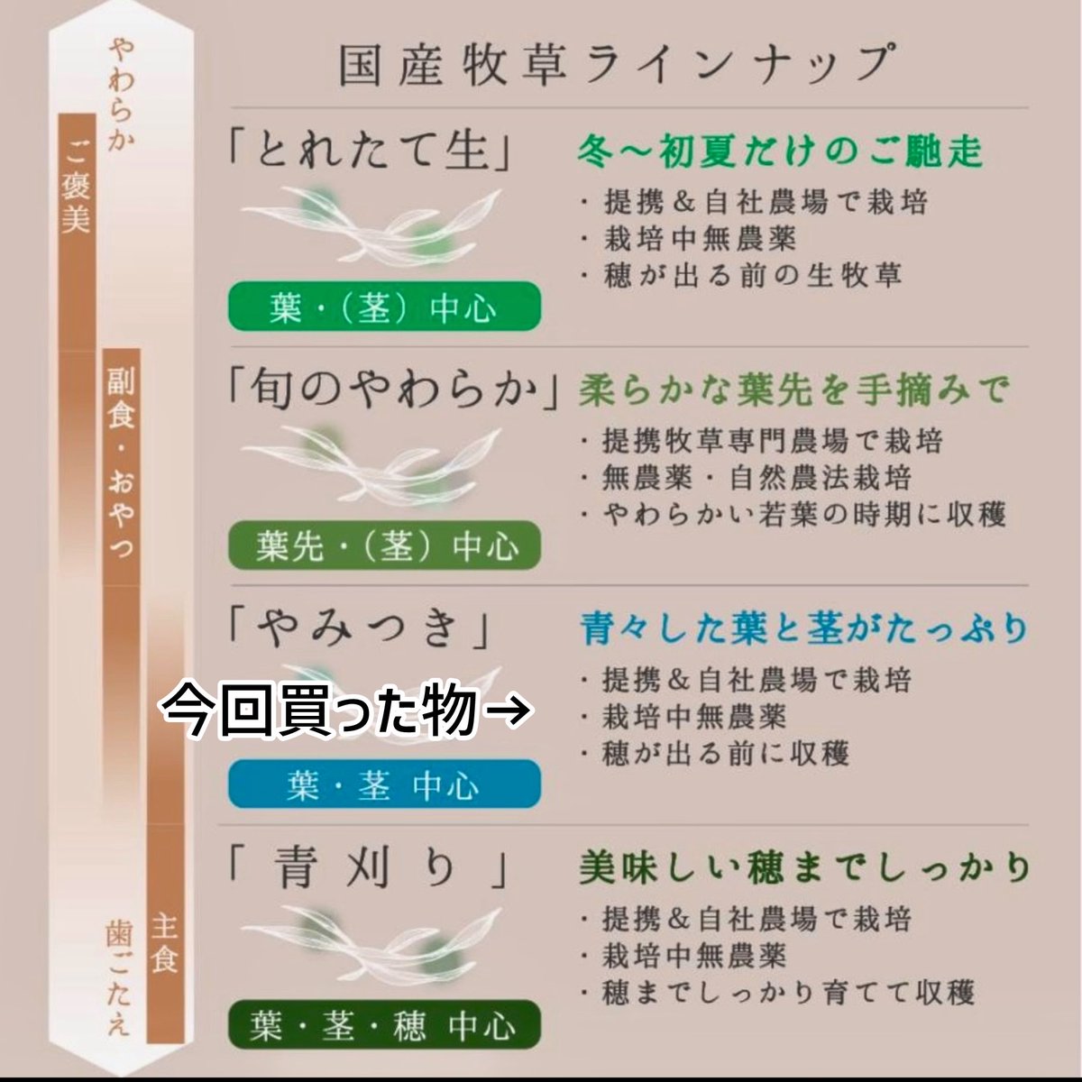 うたおと🍊 tweet media