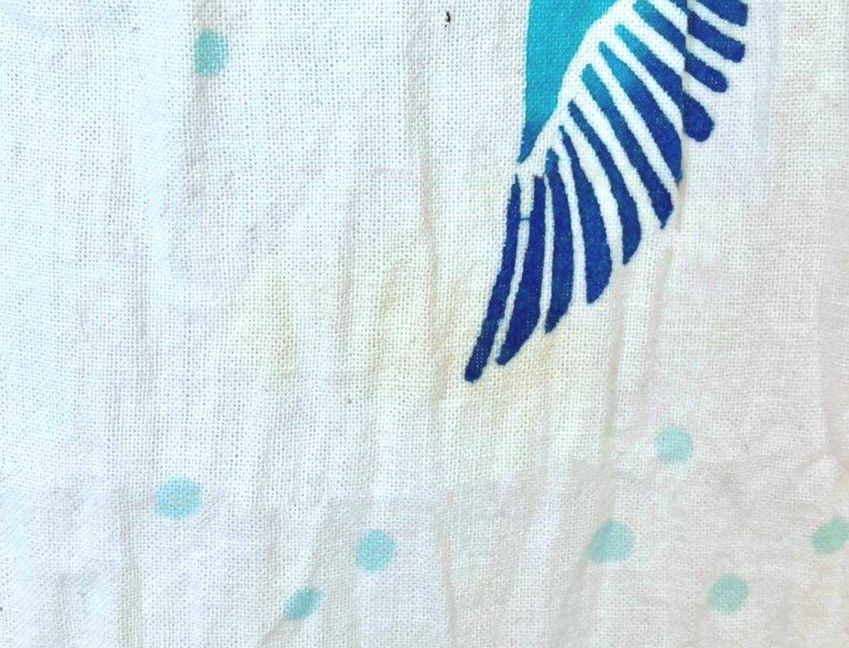 𔒞ようむのしっぽ𔒞🦜 tweet media