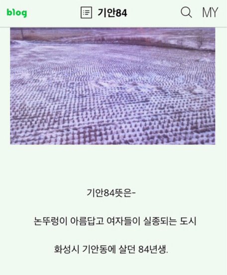 낭시 🌱 tweet media
