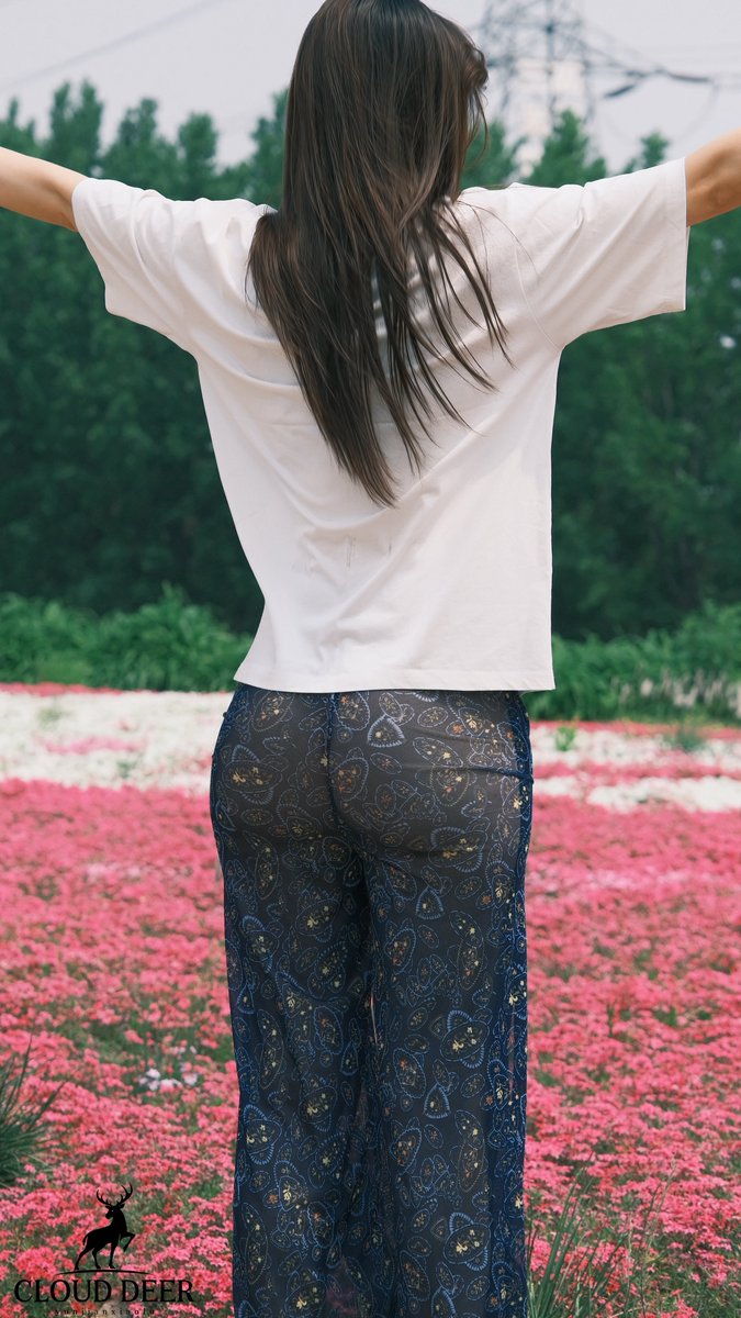 云间小鹿 tweet media