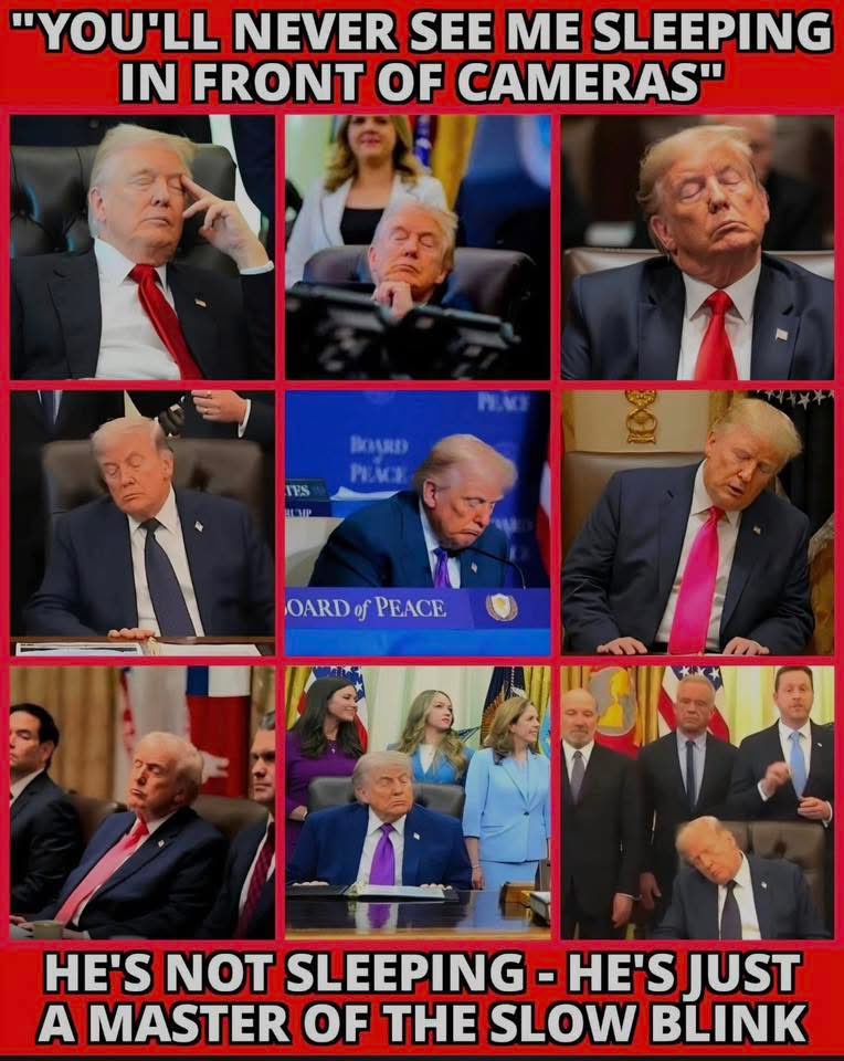 MARIELinBOSTON's tweet photo. He's not sleeping, he's just the master of the slow wink!
#Trump #DozeyDon #DonSnoozilini #WakeUpTrump https://t.co/KejQOeLg8P