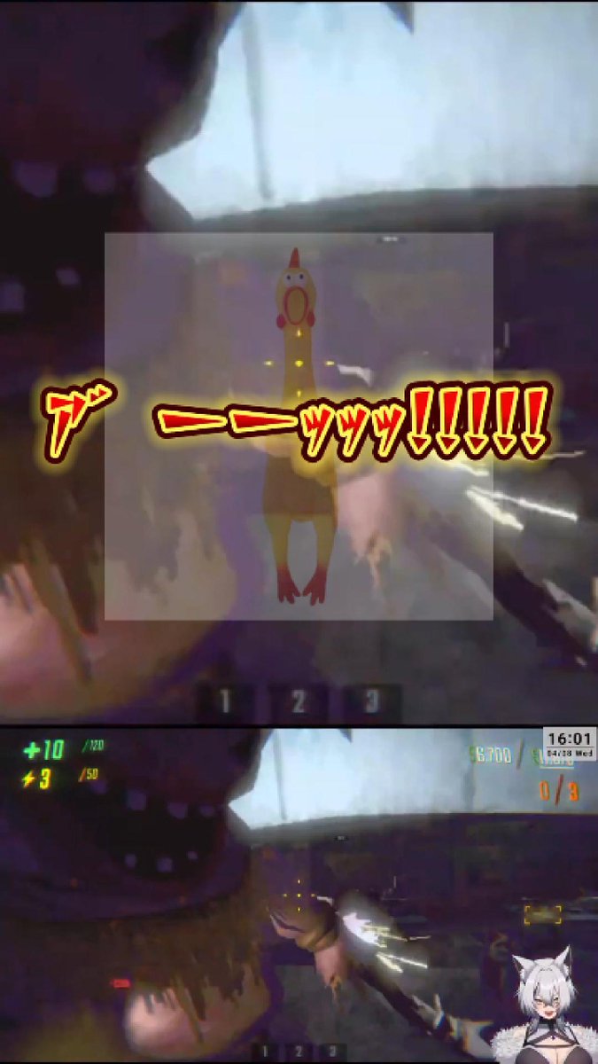 小波ウィン🌊️️🩵 tweet media