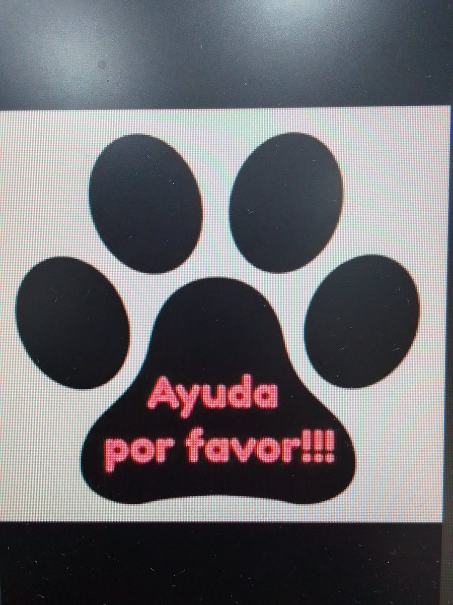 Nancy Villarroel tweet media