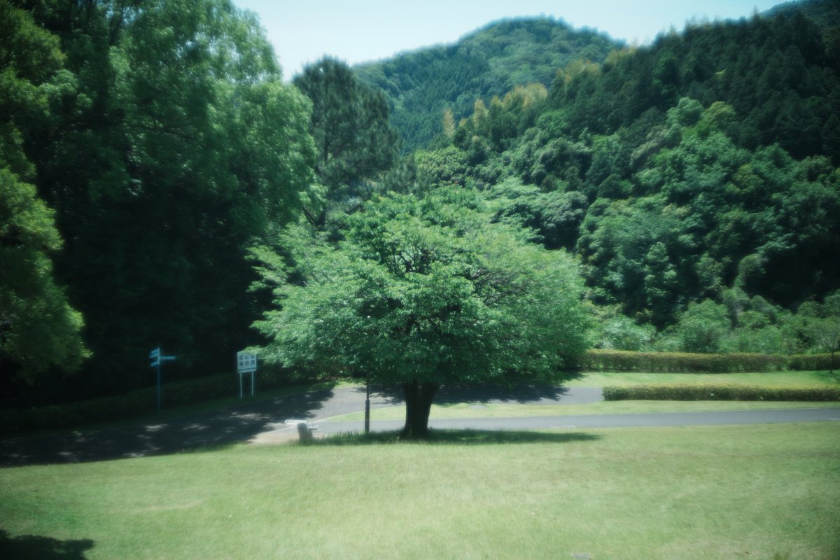 smith@オールドレンズフォトグラファー tweet media