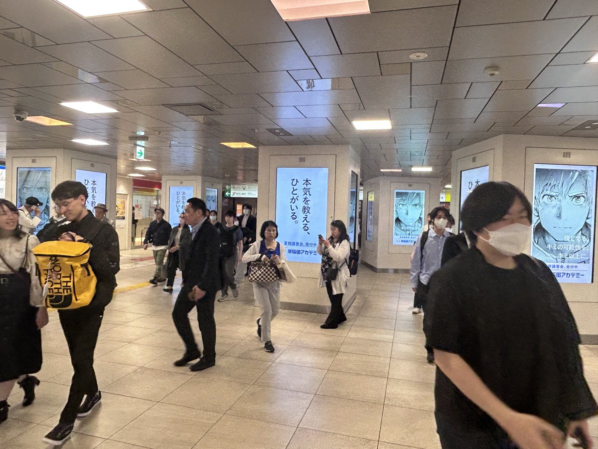 参列のハムスケ tweet media