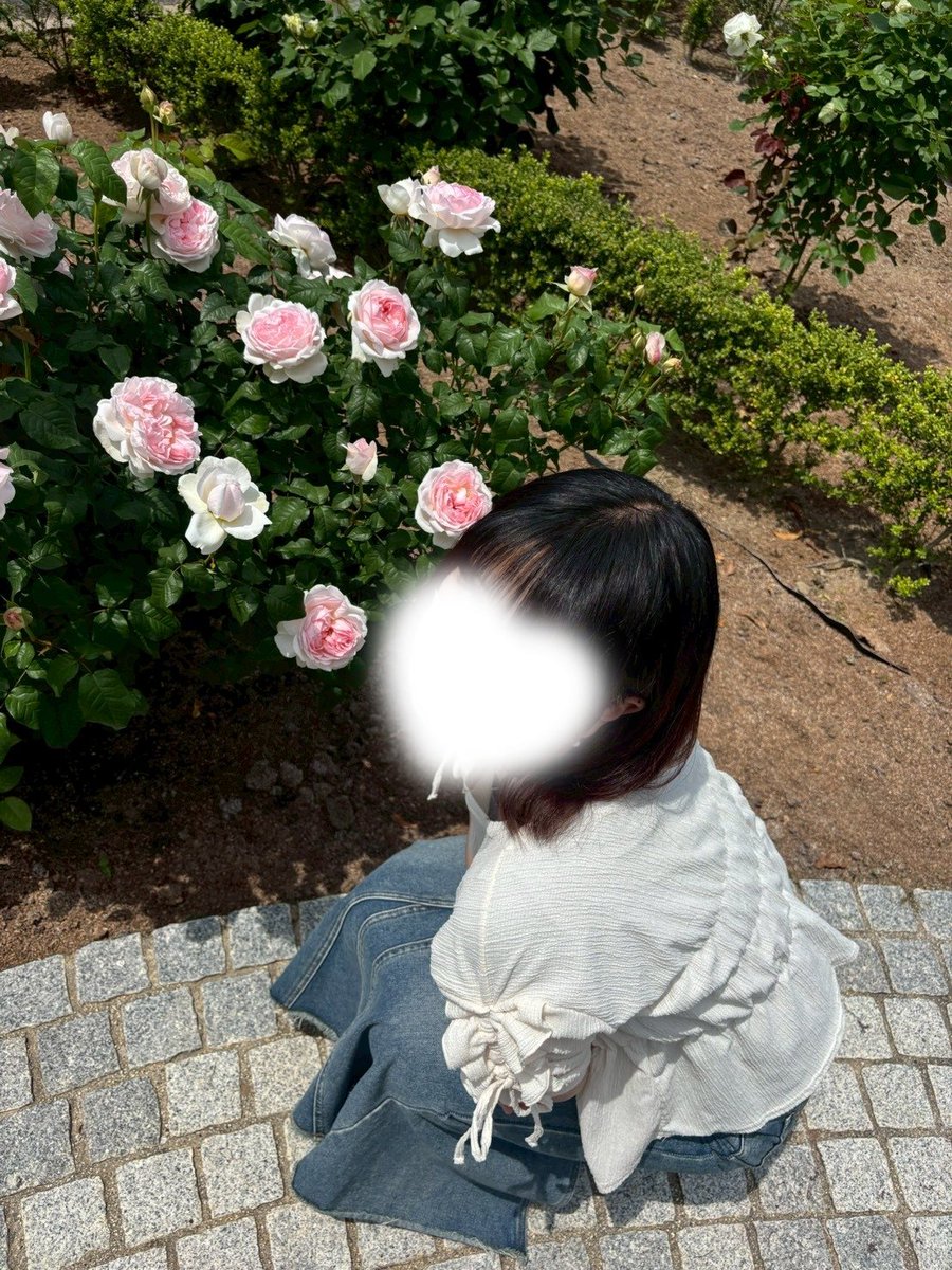 まいこ tweet media