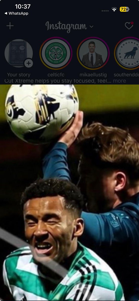 67_mitchie's tweet photo. Not a handball my arse see it and weep 🍀 https://t.co/qmCiPL6khb