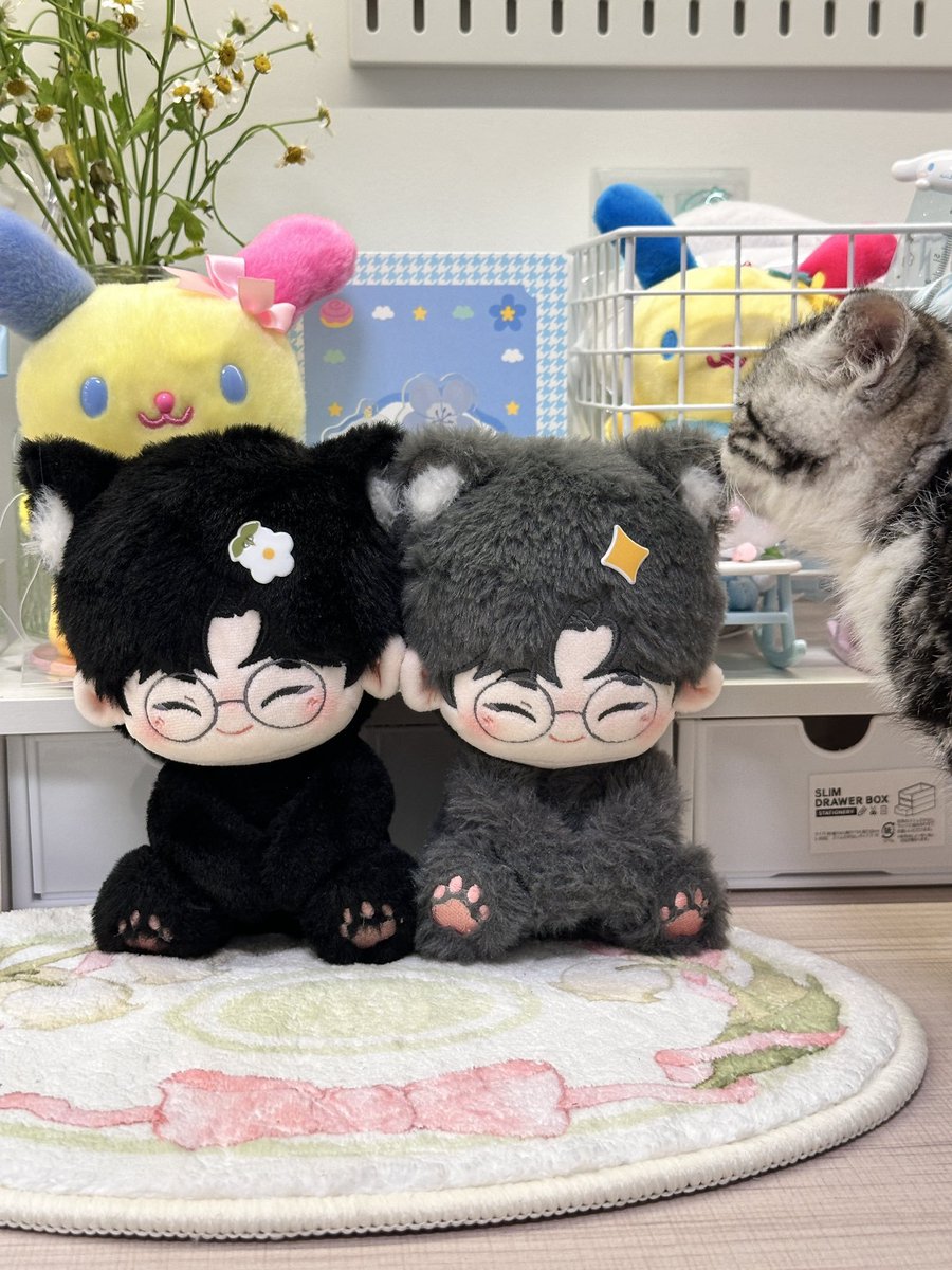 rinecartz's tweet photo. ⊹ ࣪ ˖ wts lfb — seventeen pcs 𑣲

DK pcs
⤷ pc prizes below .ᐟ
CartierWon Doll (Black)
⤷ ₱500

— payo / dop with nrdp
— onhand, x sensitive
— mod: j&amp;t only

reply or dm me .ᐟ

# svt pc dk wonwoo photocard pc s17 shopee pob https://t.co/VESWLVTZnp