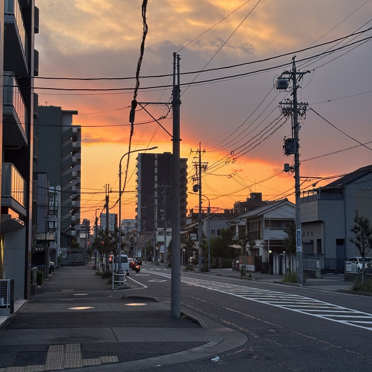 guruguru758's tweet photo. 今日はすごく焼けてる https://t.co/RjdIRAd4dV