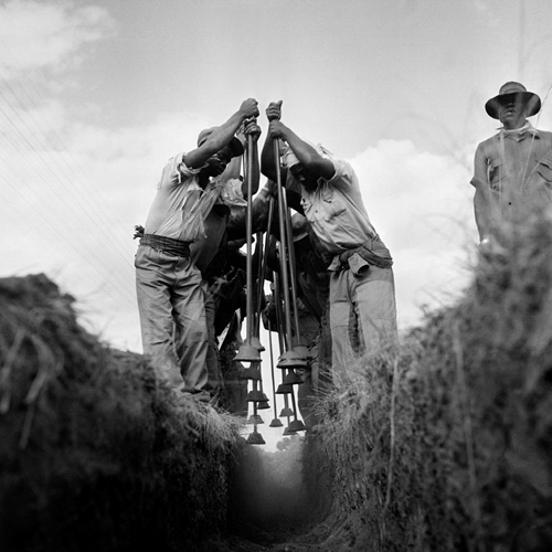 HistorySAZAR's tweet photo. Ditch-workers in Johannesburg, pounding rhythmically and singing, 1951. Credit: Jurgen Schadaberg https://t.co/KUjFHoYr9e