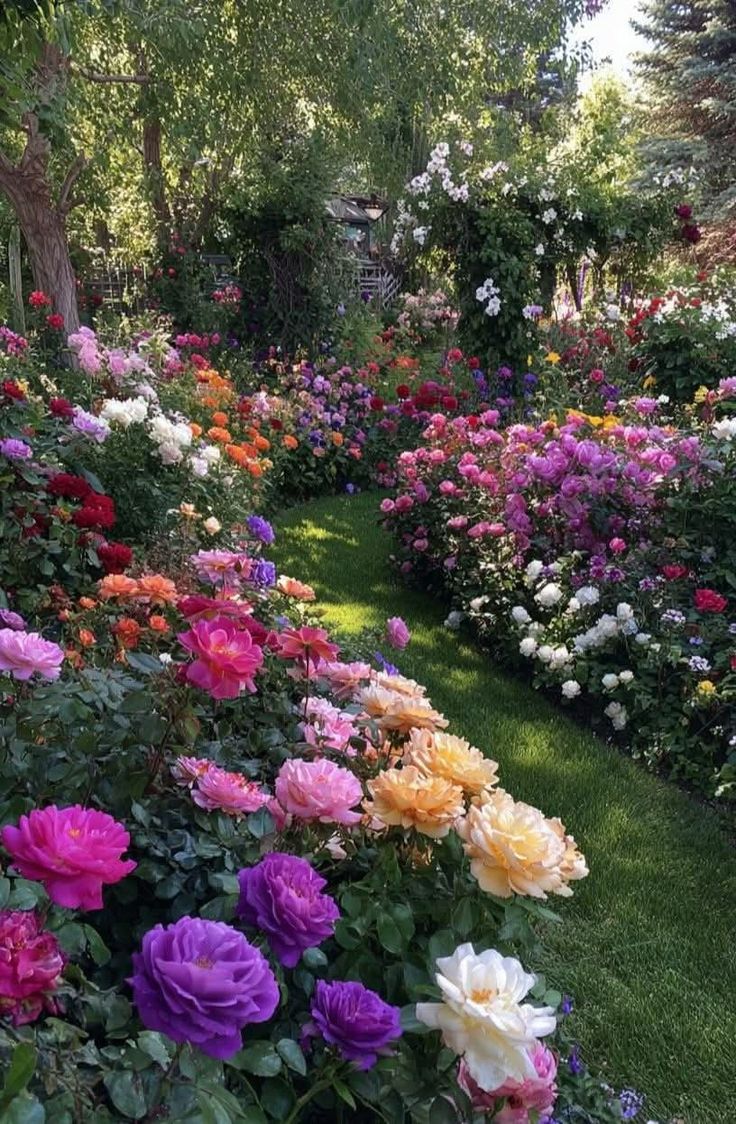 purelivn's tweet photo. oh, to have a house surrounded by nature https://t.co/pXZcRbpExJ