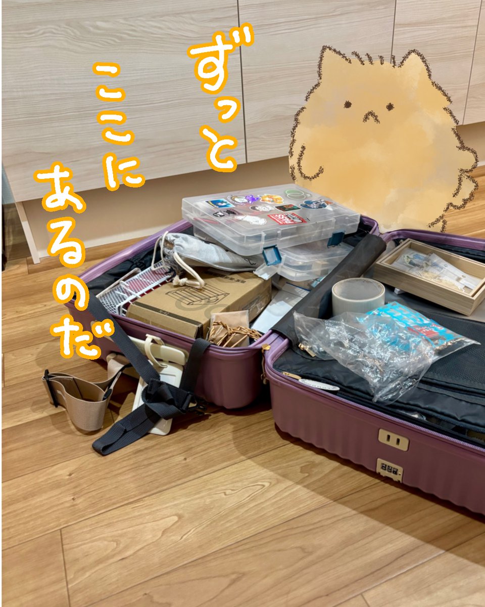 se10_seto's tweet photo. ꒰ ՞•ﻌ•՞ ꒱＜かたづけは？なのだ https://t.co/htSoyVUB9u