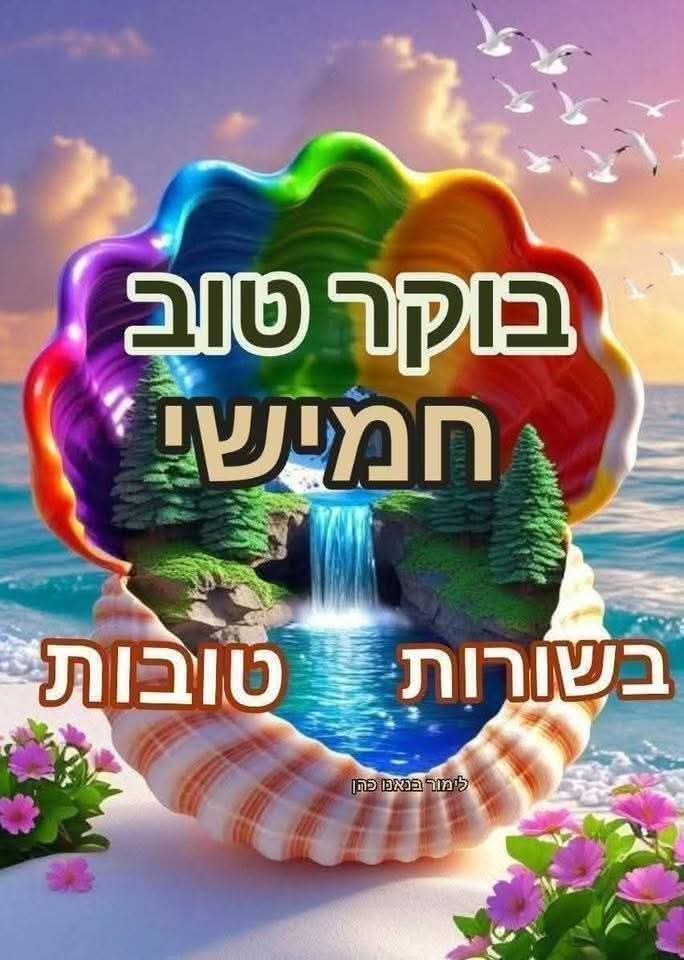 מומי ברכה tweet media