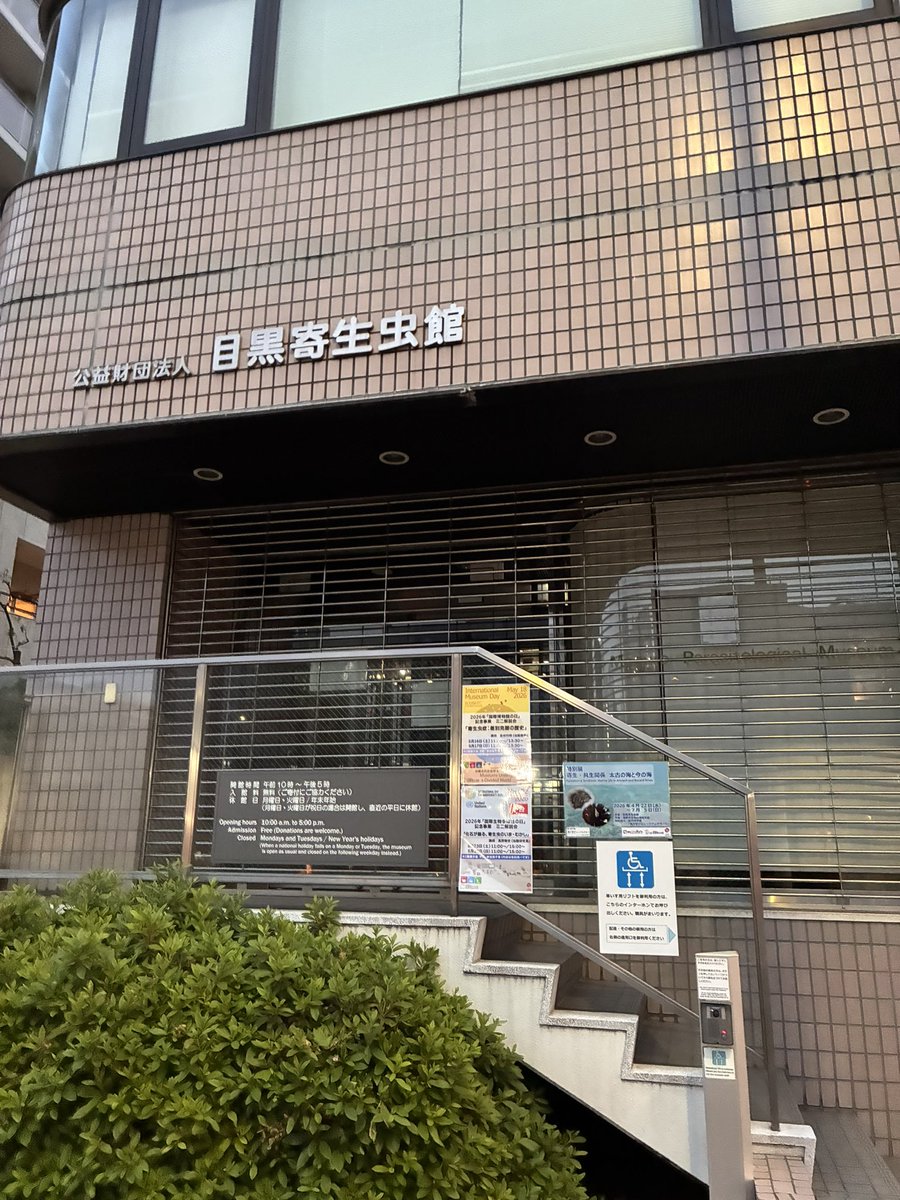 ろりーぱみゅぱみゅ tweet media
