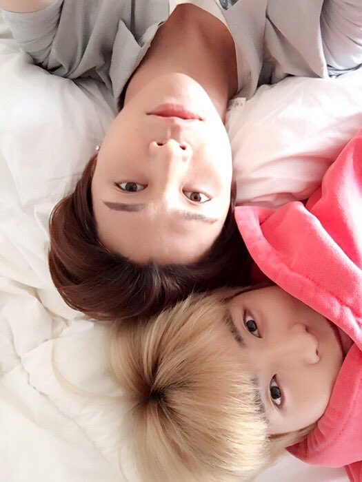 🌸 、ꔛ จองแจนเมี้ยว🐱。ꕀ 🍑 ༘⋆𐙚 tweet media