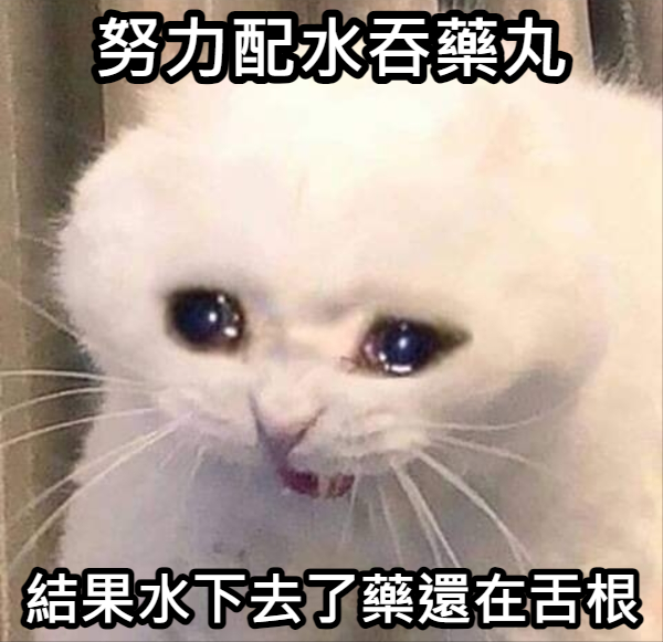 日見月 結絢.🍀 tweet media