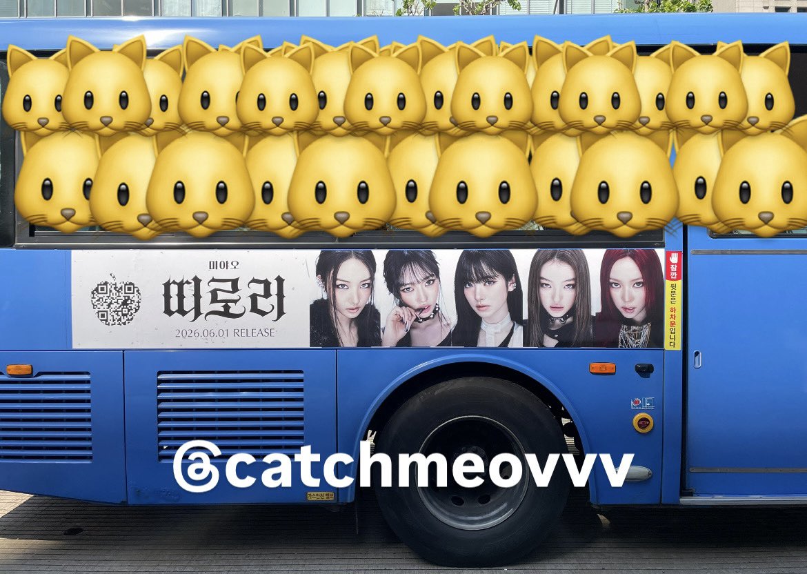 MEOVV BASE 🍎 tweet media