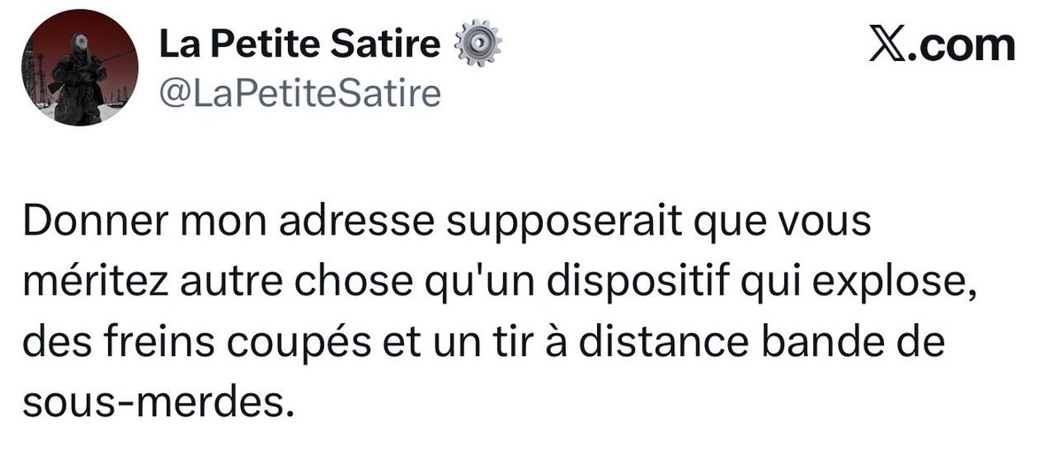 Cookie 🍪 tweet media