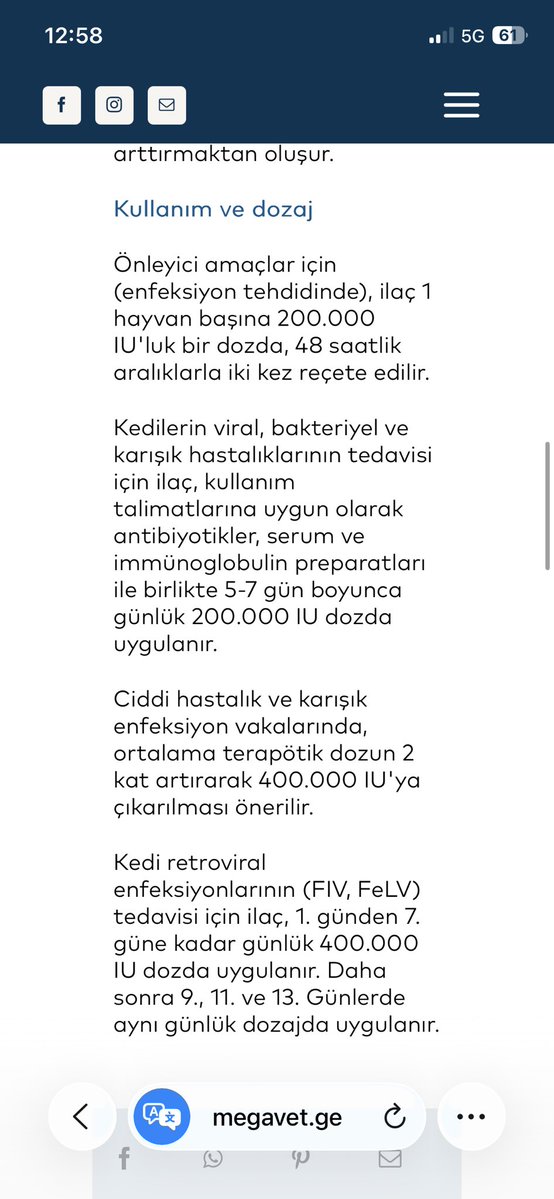 bihter tweet media