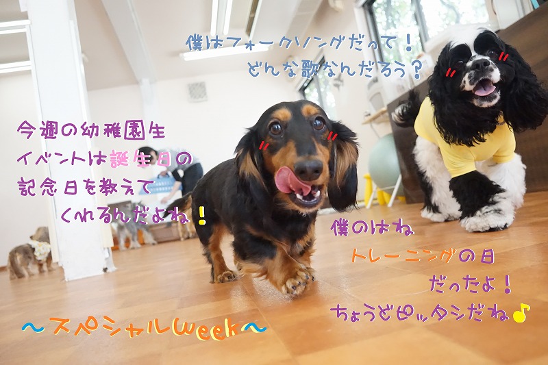 Chouchou Puppy  廃盤 犬
