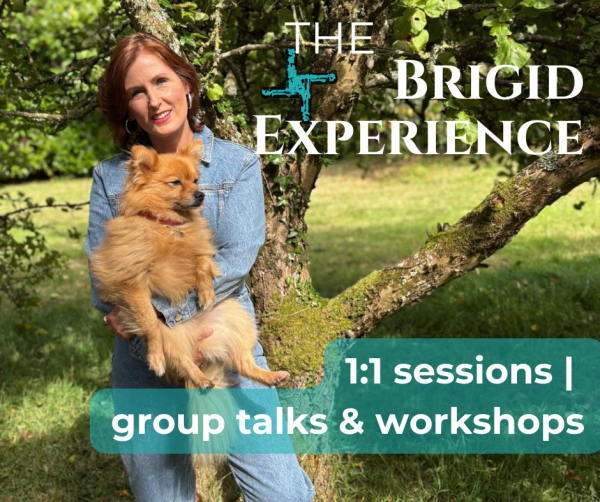 nightcourses's tweet photo. Lightbridge invite you to The Brigid Experience

-Connect with the heart of St. Brigid and Goddess Bríde
-Embody your sacred feminine
-Tap into wisdom, beauty &amp; inspiration https://t.co/AKQN7wm3h9 https://t.co/Mo9ASEZRLO