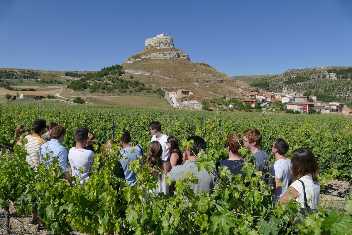 Ribera Del Duero tweet media