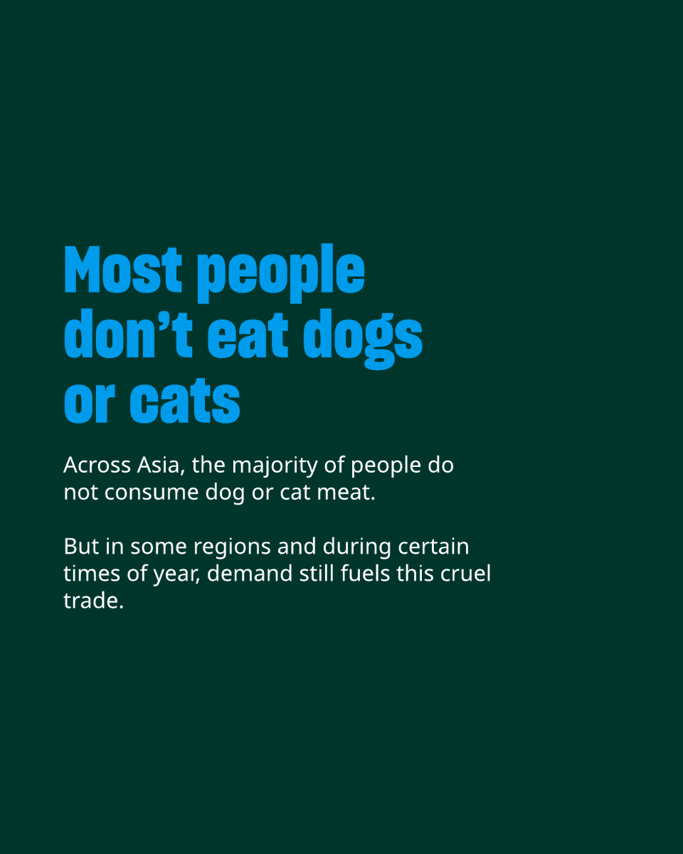 Humane World for Animals Europe tweet media