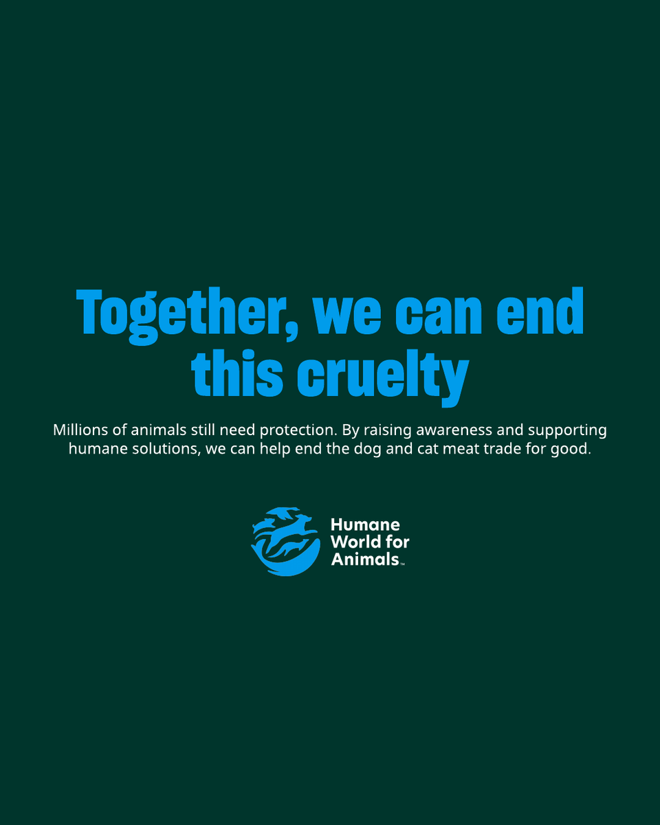 Humane World for Animals Europe tweet media