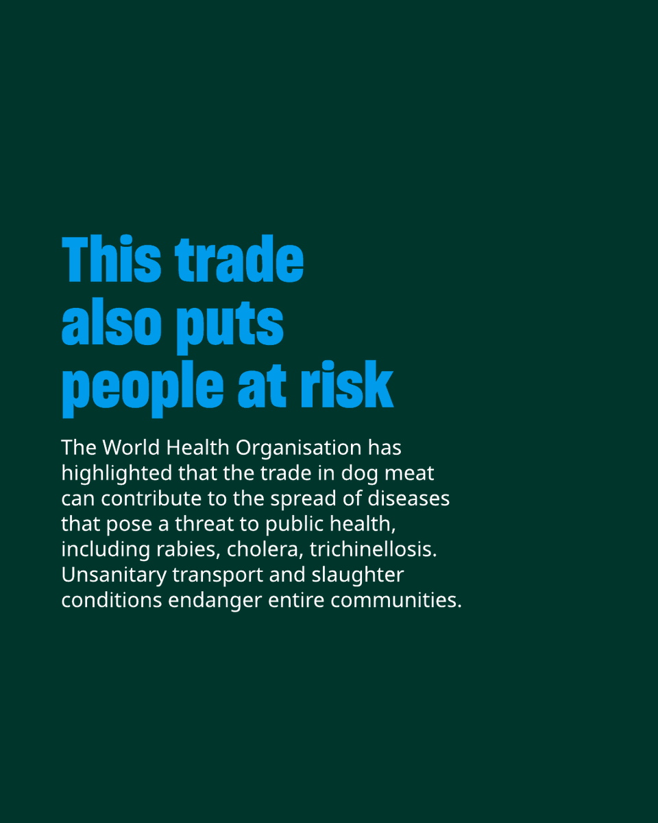 Humane World for Animals Europe tweet media