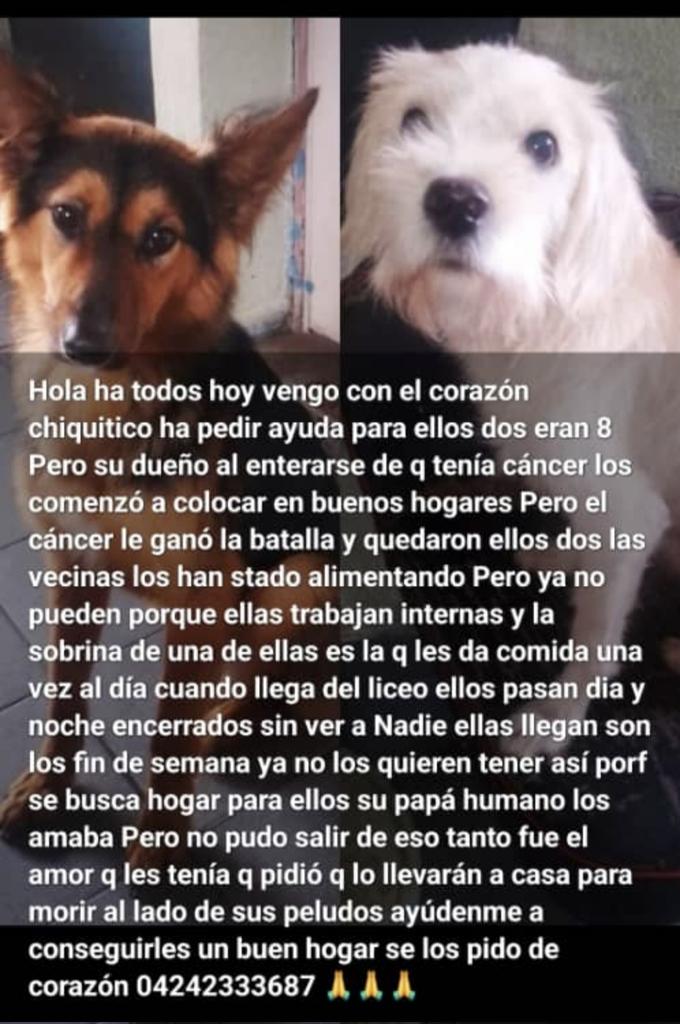 GRACE🇻🇪🆓 tweet media