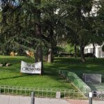 STOPcrematorioALCORCON tweet media
