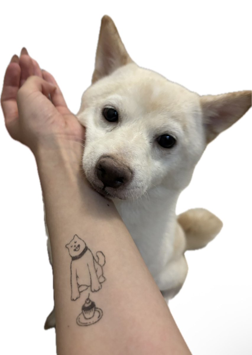 surititoaru's tweet photo. 1日で消えるタトゥー🐶 https://t.co/6LG3P68weK