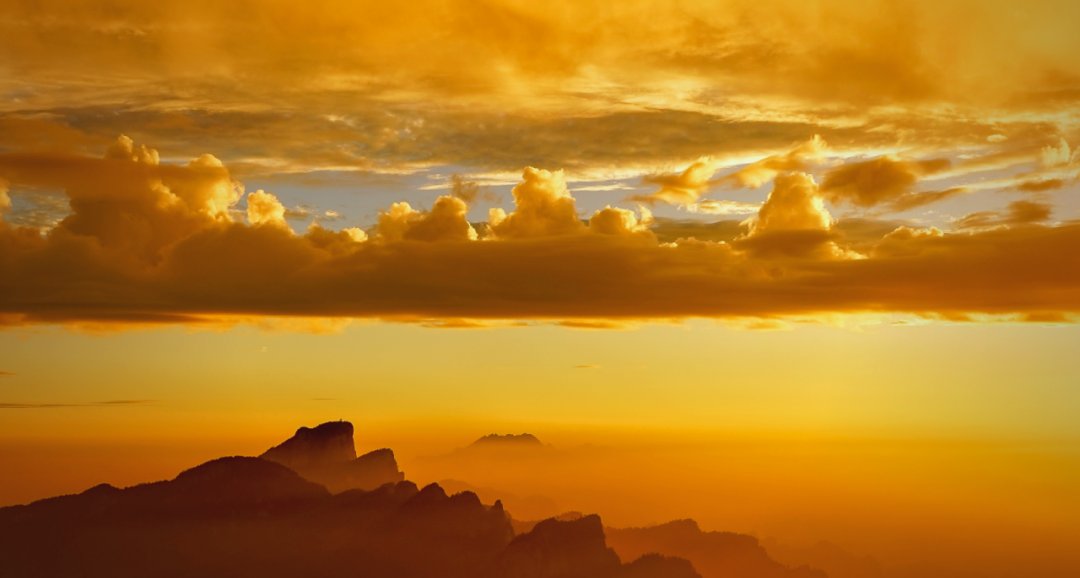 ~R.Trance~ tweet media
