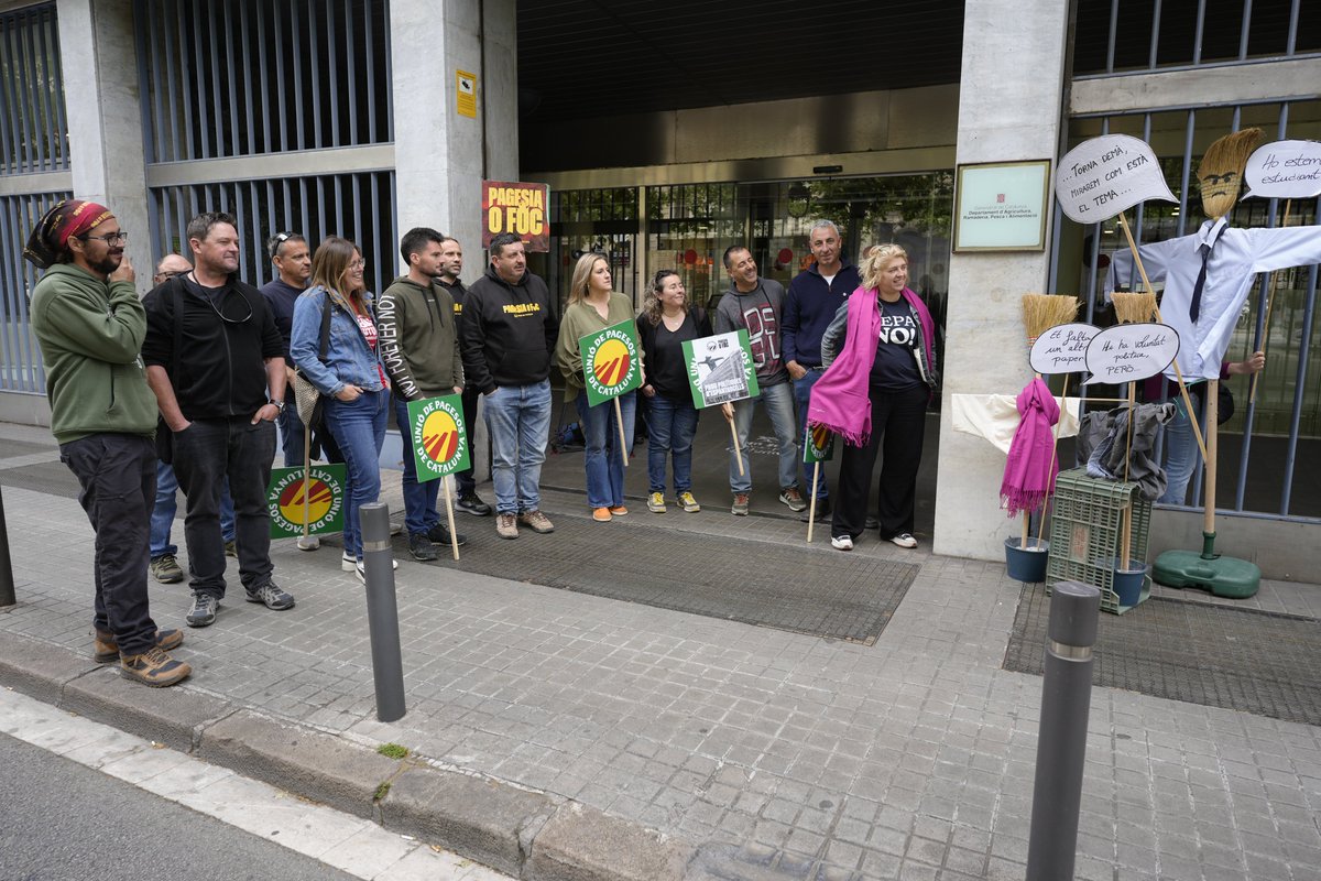 uniopagesos's tweet photo. 🗣️Aquest matí davant del #DARPA hem reclamat al Govern que desencalli els ajuts agraris pendents. 

‼️Aquests retards posen en risc la viabilitat de la pagesia!

Ja n'hi ha prou de polítiques d'espantaocells: menys promeses i més solucions reals!  

➕ℹ️https://t.co/cqgUKnV8IO https://t.co/fd73TEbBnN