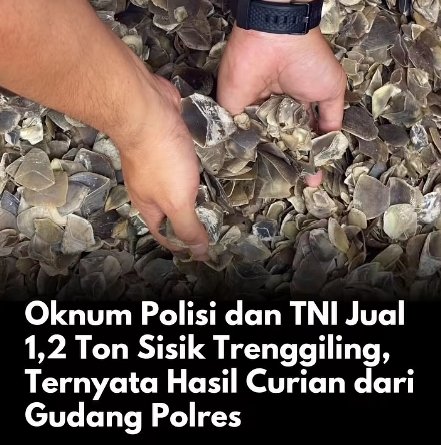 Indonesnews tweet media