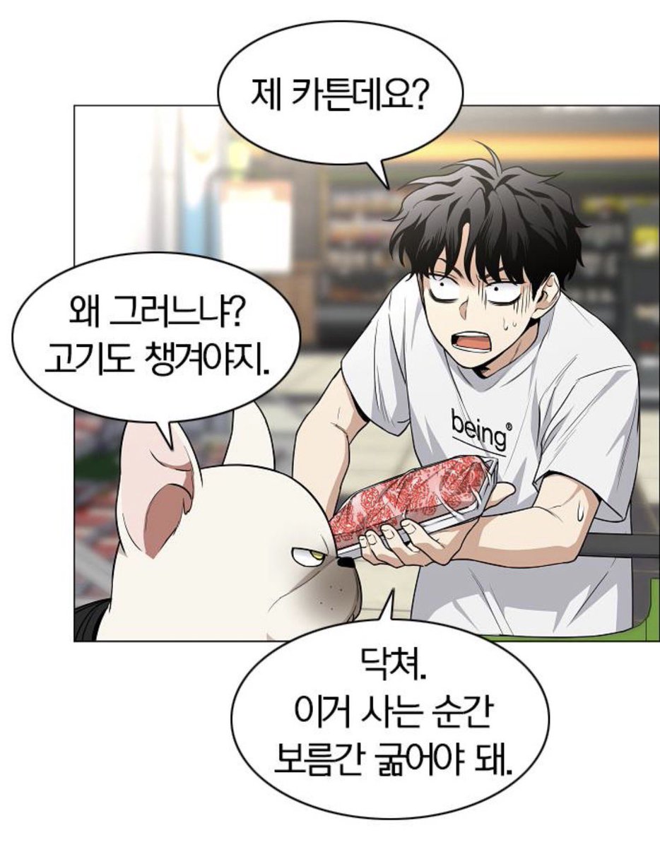 냐냥이 tweet media