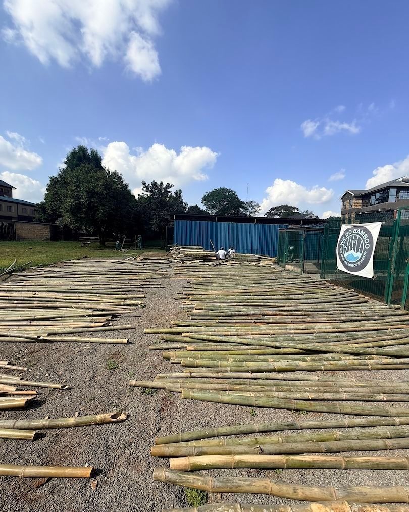 We Do Bamboo (@WeDoBamboo) / Posts / X