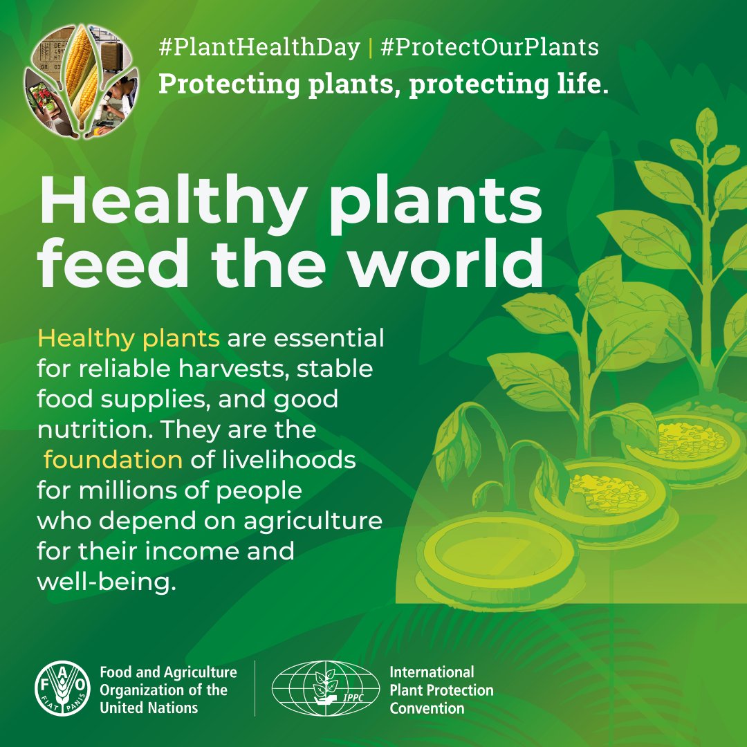 IPPC | International Plant Protection Convention tweet media
