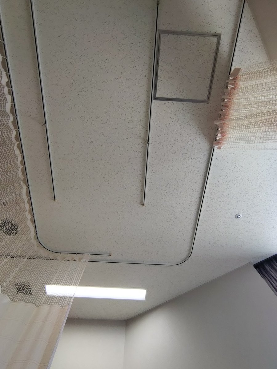 目から鱗@春 tweet media