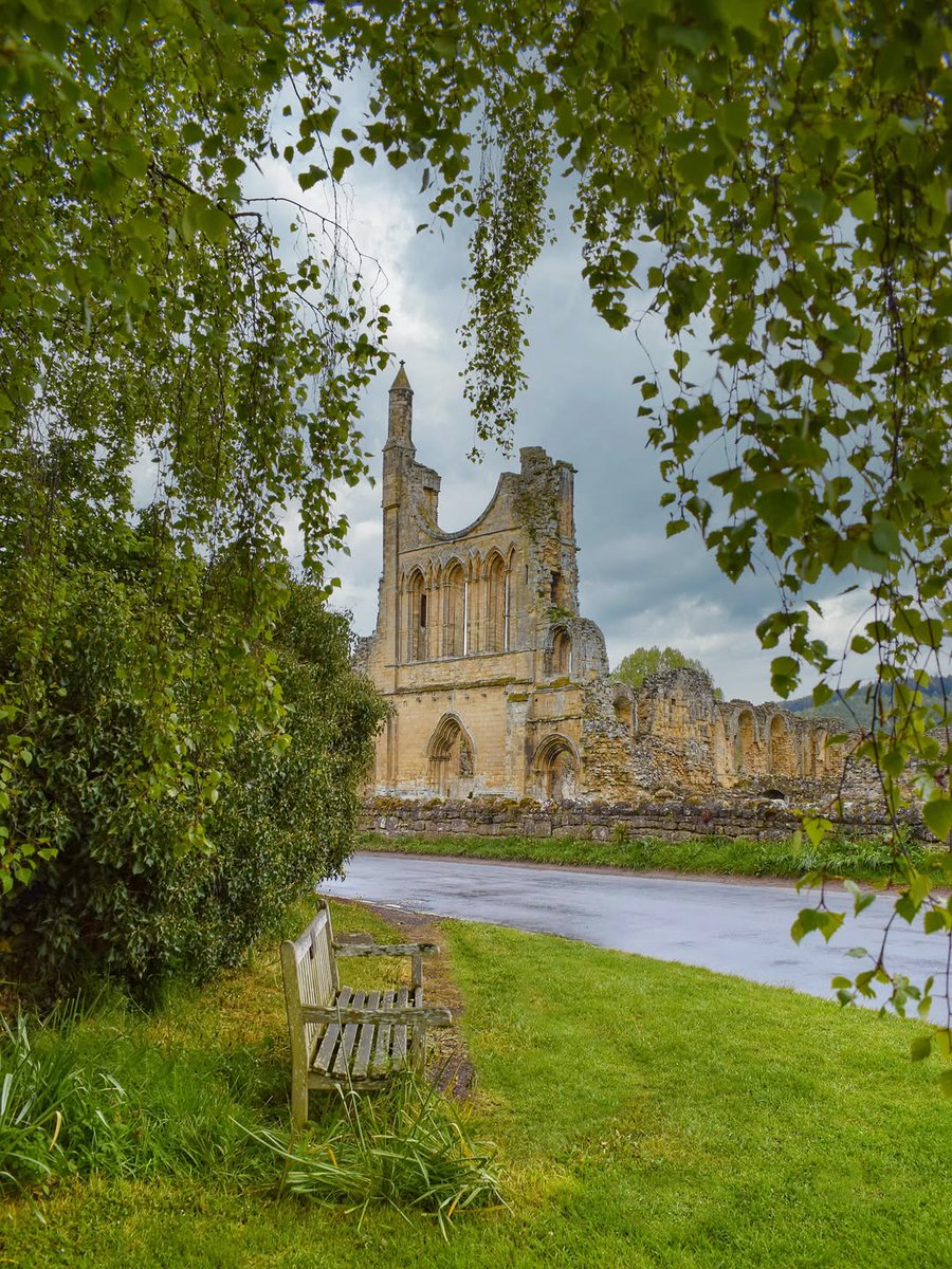 North Yorkshire tweet media