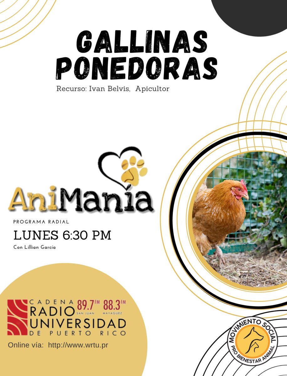 MOSPBA11's tweet photo. 𝐀𝐧𝐢𝐌𝐚𝐧𝐢𝐚  Lunes 6:30 p.m. 
@radioupr 
Tema:  #GallinasPonedoras 
Recursos: Ivan Belvis, Apicultor 
Escúchanos por:
89.7 FM en San Juan.
88.3 FM en Mayagüez.
Y por https://t.co/YtvakTyoz3
#RadioUPR #AniMania #MOSPBA #BienestarAnimal #Podcast https://t.co/otunaUADHp