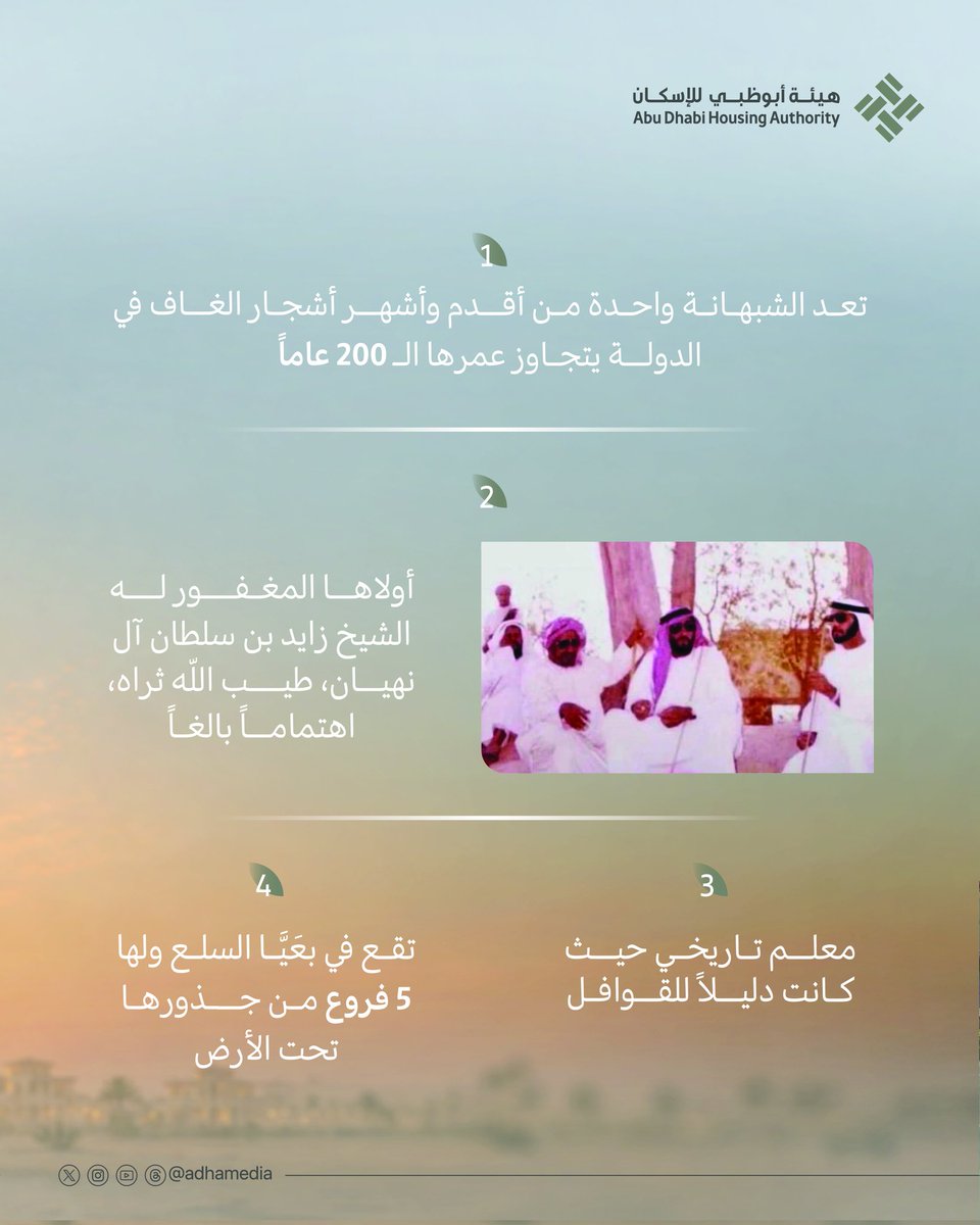 هيئة أبوظبي للإسكان | Abu Dhabi Housing Authority tweet media